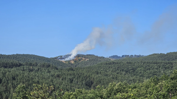 Vetar okrenuo situaciju: Požar u Deliblatskoj peščari ponovo bukti FOTO