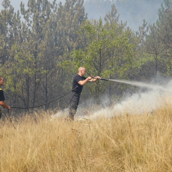 Kiša donela predah na planini Stolovi; Situacija povoljnija, ali jak vetar zadaje muke vatrogascima