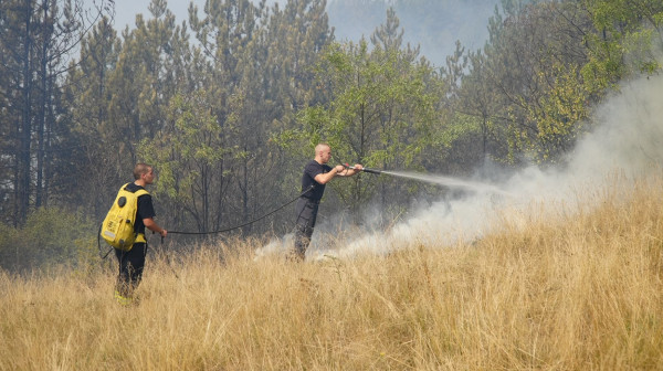 Rain brings respite on Mount Stolovi; Situation improves, but strong winds make firefighting difficult