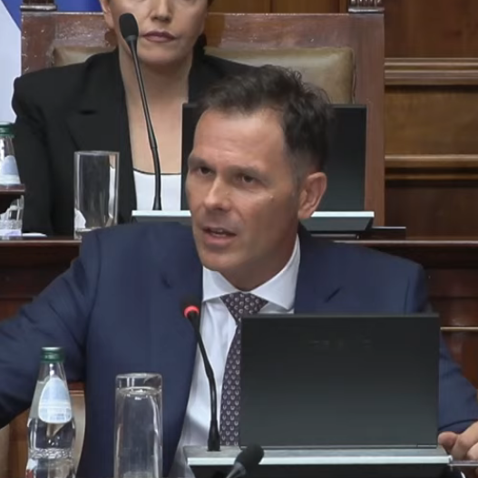 Mali u Skupštini: "Plate i penzije nikada nisu bile veće i to u realnom iznosu" VIDEO