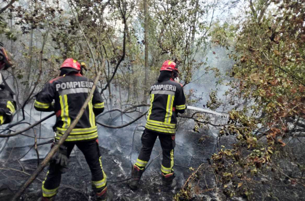 Oglasio se MUP: "U Deliblatskoj peščari situacija trenutno mirna, pojačane snage na terenu zbog najave vetra"