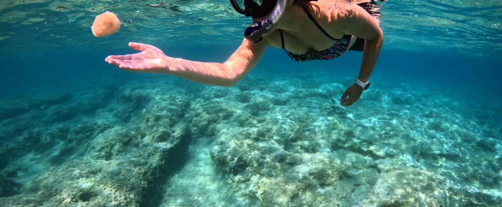 Turistkinju stvorenje iz vode ujelo za zadnjicu; Snimak postao hit na mrežama VIDEO