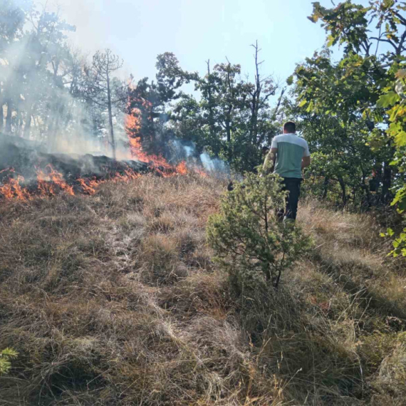 Izgorelo više od 120 hektara kod Lučana; Vatrogasci i meštani sprečili katastrofu FOTO