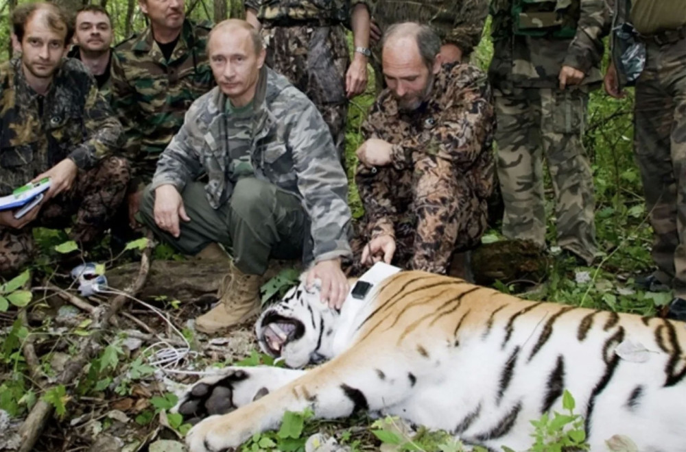 "Izlazi tigar i ide pravo ka meni i na auto": Putin podelio iskustvo bliskog susreta iz šume VIDEO