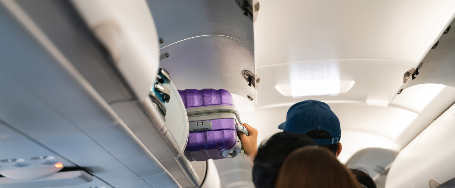 Panika u avionu: Zmija izašla iz ručnog prtljaga FOTO