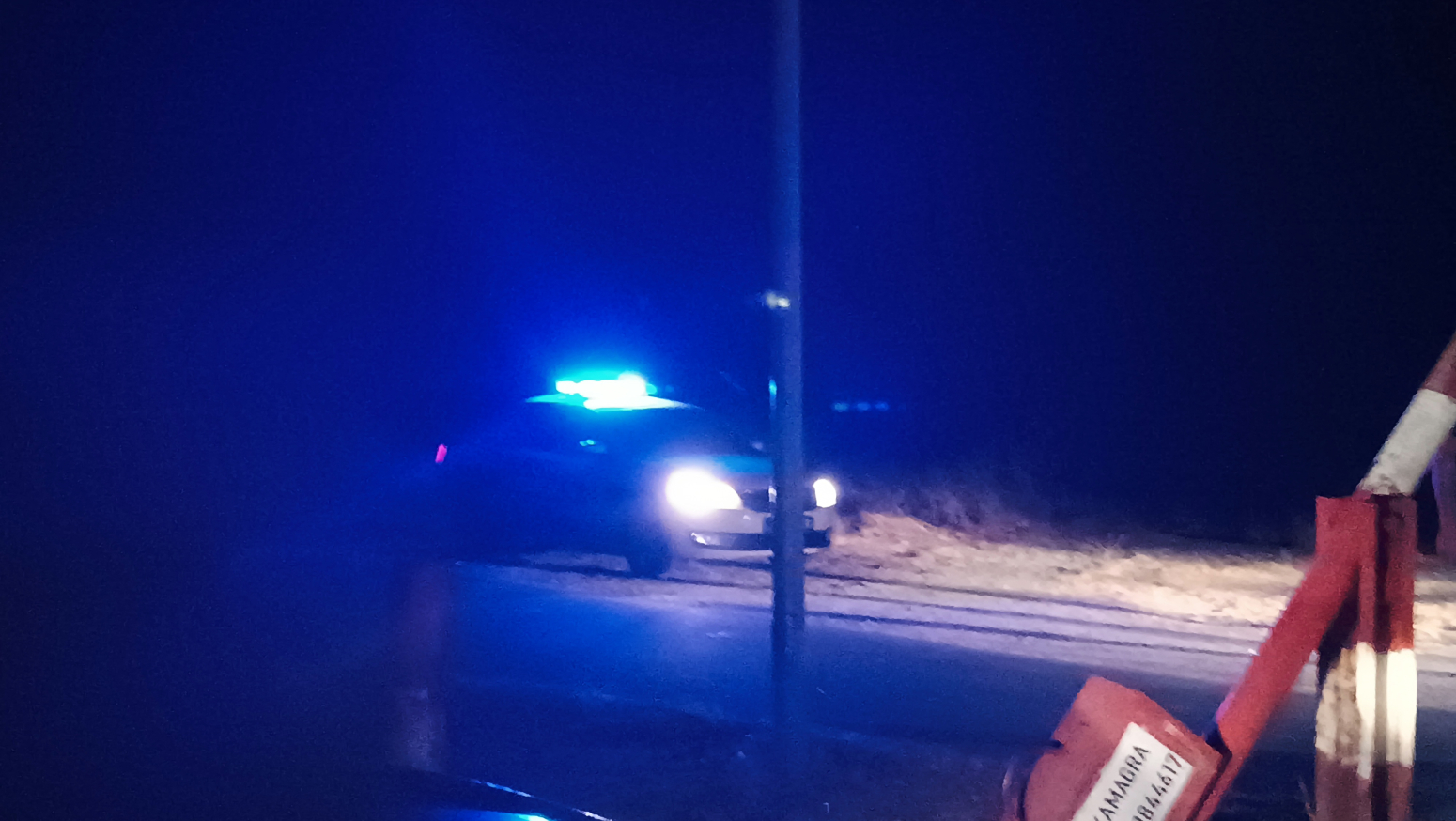 Veliki požar Novom Sadu; Angažovane sve vatrogasne jedinice FOTO/VIDEO