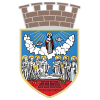 Logo Zrenjanin