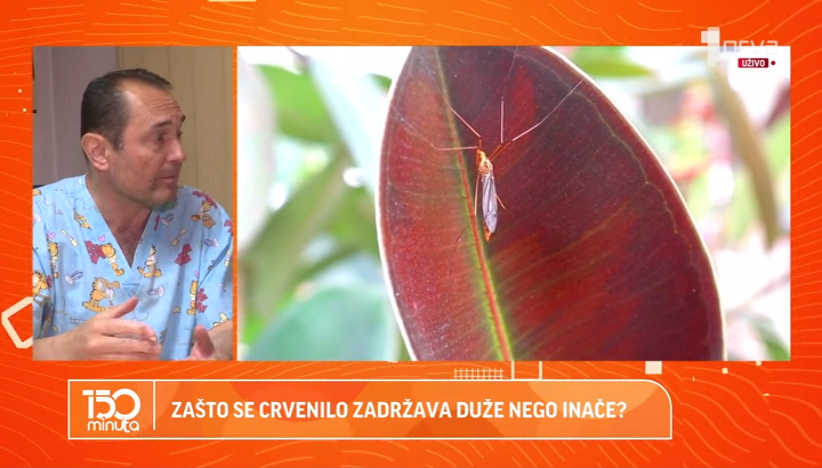 Kako se zaštititi od ujeda komaraca?