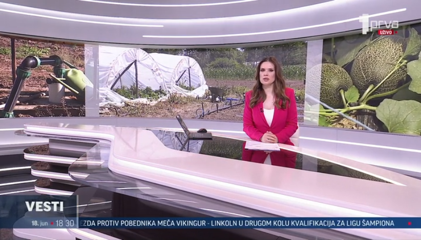 Kako ove visoke temperature utiču na povrće?