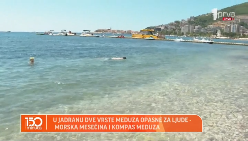 Šta raditi kada vas ubode meduza?