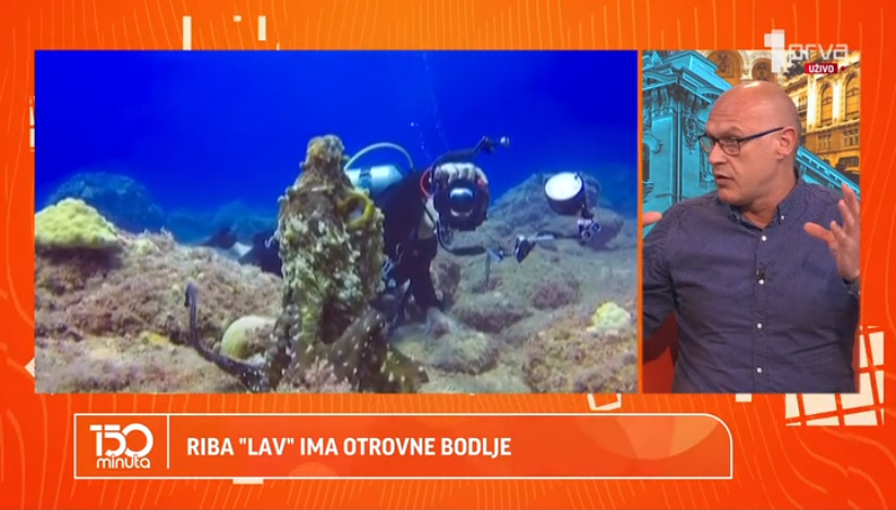Otrovne ribe u Jadranu