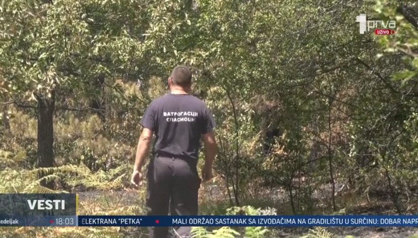 Požari u Topličkom kraju