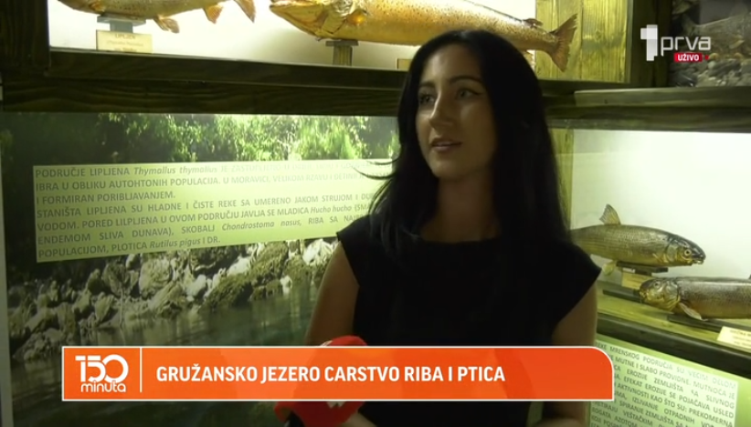 Šumadijsko more:  Jezero sa 17 vrsta riba, atraktivno ribolovcima