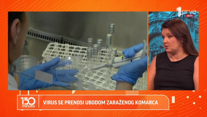Koje bolesti prete od komaraca?