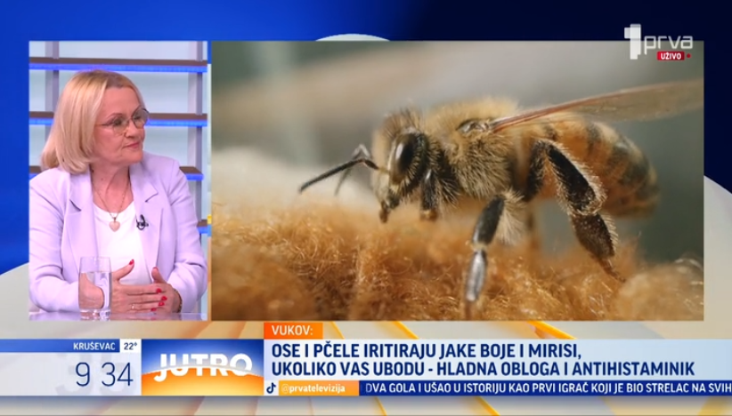 Kako da reagujete na ubod ose, pčele ili stršljena?