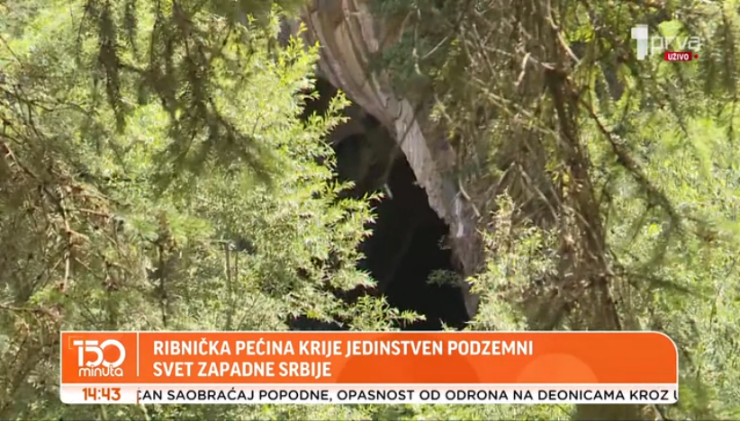 Pećina u Srbiji koja je dom 15 vrsta slepih miševa