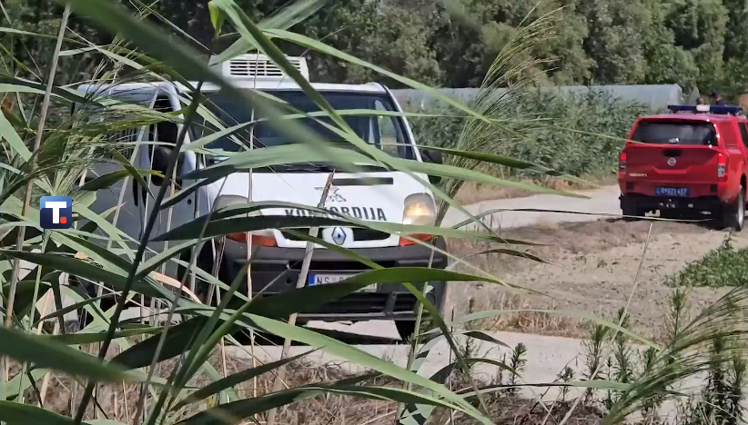 Tri osobe poginule kada je auto sleteo u kanal u Novom Sadu