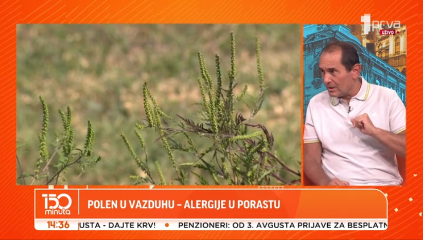 Kako preživeti sezonu alergija?