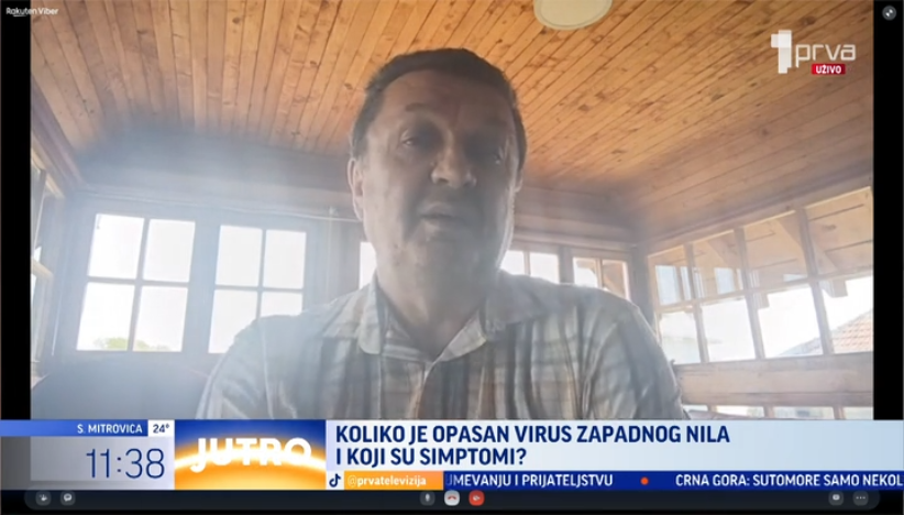 Ima li opasnosti u Srbiji od virusa Zapadnog Nila?