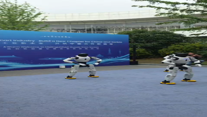 Humanoidni roboti u Kini