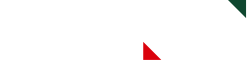 Biz Logo